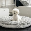 몽글몽글 펫 이미지