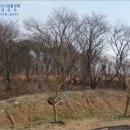 현덕초등학교광덕분교장 이미지