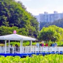 울산 선암호수공원 6월 풍경 | 시설 위치 주요 포토존