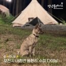 멍냥다이닝 이미지