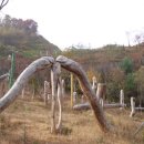 지안재