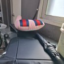 디테일링 라인 | 수원손세차 실내세차 후기 블루라인디테일링, 빠르긴 정말 빠르더라