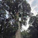 노미목장 이미지