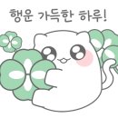 라라코스트 죽전점 이미지