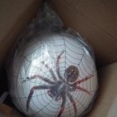 수원-0105 이미지