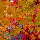 청계산수변공원 이미지