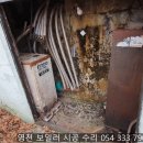 귀뚜라미석유 이미지
