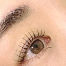 부곡로 | 부산속눈썹펌 잘하는곳 온천장 이쁨뷰티 블랙틴팅펌 후기