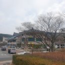 코모도테라피