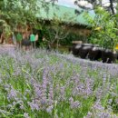 유일농장 이미지