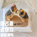 마리퐁 | 마리퐁 강아지 디자인 생일케이크,cs는 느려도 케익 실력은 최고 ㅇㅈ