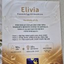 엘리비아