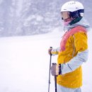 Top-tier GYM 이미지