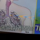 불치병 천식완화 사례자,맥문동차/기치유센터 이미지