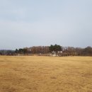 연천전곡리유적 이미지