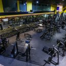 핏-타운 이미지