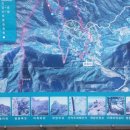 대산사슴농장 이미지