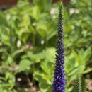 한스행정사사무소 이미지