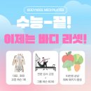바디리셋