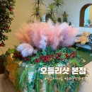 오들리샷 본점 | 식사 후에도 순삭! 송내역카페 오들리샷 베이커리 내돈내산