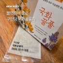 생약초 | 불면증에 좋은차를 찾는다면? 구인당 국화꿀풀차 후기!