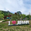 진안마이돈 이미지