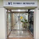 일산에이스애견미용학원
