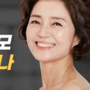 한올가발