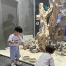 라아카페 | 가평여행 아기랑 실내 갈만한곳 신비동물원 ❤️무료 실내놀이터❤️
