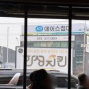 한성 | 김포 한성치킨 전국 5대 치킨, 평일 홀에서 먹고 온 후기