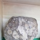 24시교동촌콩나물해장국밥 이미지