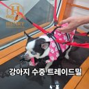 앙리동물병원 이미지