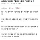 유튜버 나락갈때 &#34; 별거 아닌걸로&#34; 하는게 웃긴 디시인 이미지