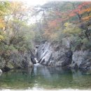 구룡소 Daum카페