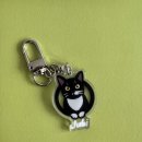 로고스 동물병원 | 대전 고양이 건강검진 병원 추천 <닥터코기 동물병원>