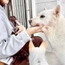 살랑 이미지