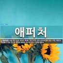 Aperture(애퍼처) 이미지