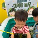 정토원광어린이집 이미지