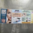 애플스킨 이미지