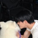 생각하는 사람 | 아이돌을 강아지라고 생각하는사람 진짜최악이다...