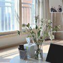 대흥프라자(주) | 꽃 아니면 닭이었던 나의 3월 둘째주 일상😇