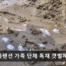 수선화펜션가족단체독채갯벌체험 이미지