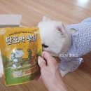 리앤폴 | Review | 강아지 건강 간식 추천 / 리앤폴 단호박 황태