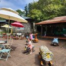 돌하르방미술관 이미지