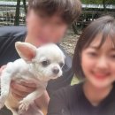 양평 석산계곡 산음유원지 애견동반 캠핑 1박2일 후기
