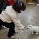 승연전자 | [인천 서창 실내 아이와함께 가볼만한 곳] 특별한 체험 실내동물원 쥬벅스