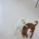 남악유치원 이미지