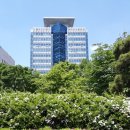 울산광역시청 1별관 이미지