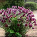 부곡공원 이미지