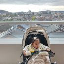 교동꽃담집 이미지